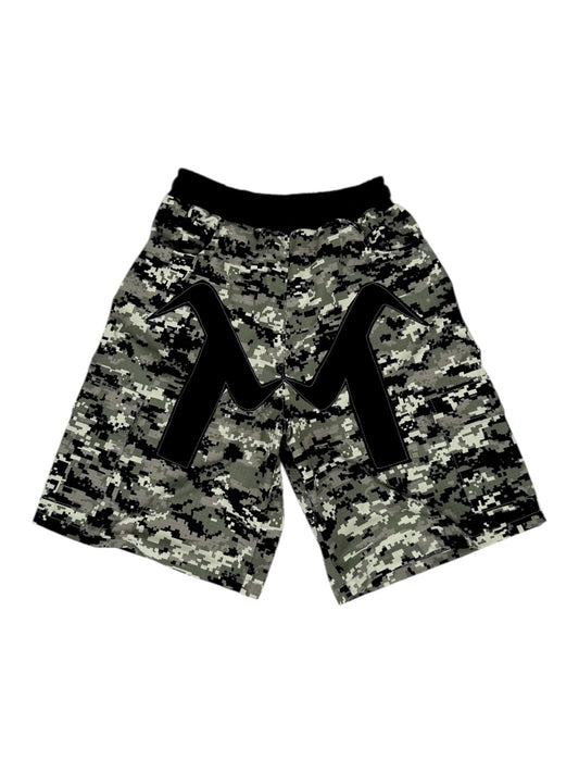 ASH CAMO SHORTS